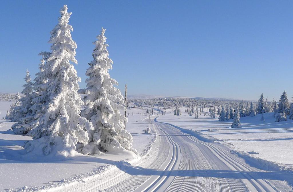 Cozy Sports Cabin For Active Holidays Βίλα Sjusjoen Εξωτερικό φωτογραφία